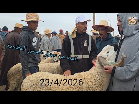 اثمنة 🐑🐏🐑من سوق خميس العطاوية بتاريخ 23/4/2026 #حولي_الصردي_قلعةالسراغنة #المواشي_المغرب