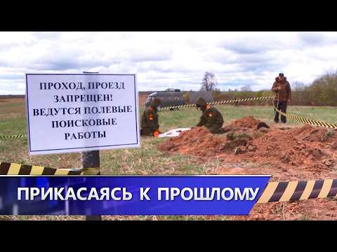 В Витебском районе найдены останки 16 советских солдат