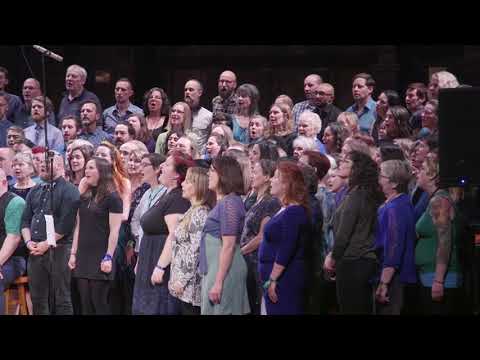The Choir & The Chorus: Naive Melody (This Must Be The Place) (Talking Heads cover)