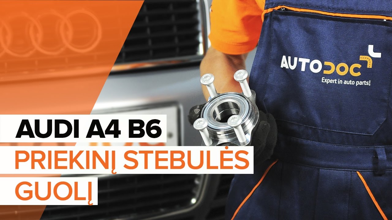 Kaip pakeisti Audi A4 B6 rato guolio: priekis - keitimo instrukcija