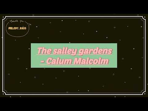 [Irish] The Salley gardens - Calum Malcolm