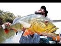 GEOBASS: Colombia
