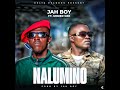 Jah Boy Ft Under Gee Nalumino Official Audio