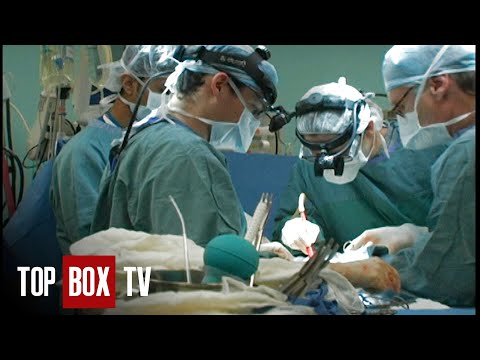 Difficult Cancer Surgery - The Surgeons - Dr. Bryce Taylor