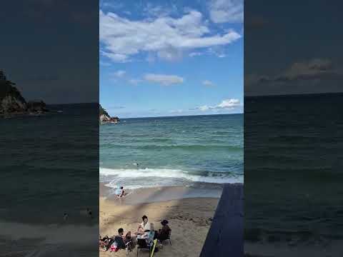 Praia da ilhota SC