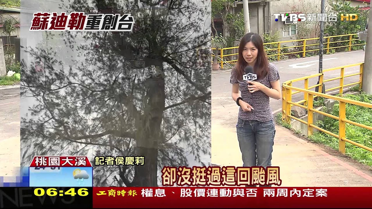 「家族樹」被吹斷影響官運? 朱立倫:和我無關