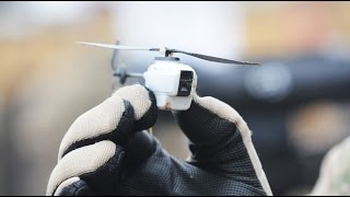Mosquito spies: Insect-sized drones latest weapon in War of Terror