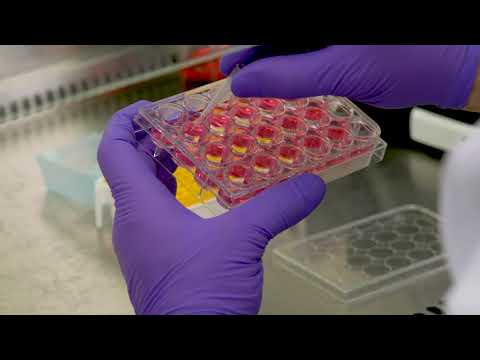 AutoScratch Wound Making Tool for Wound Healing and Cell Migration Assays