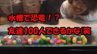 【パピコ＆たけ】恐竜を水槽で孵化させます！！