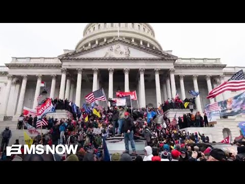 Michael Fanone: Trump will “absolutely will go forward” with slush fund payouts to Jan. 6 Rioters