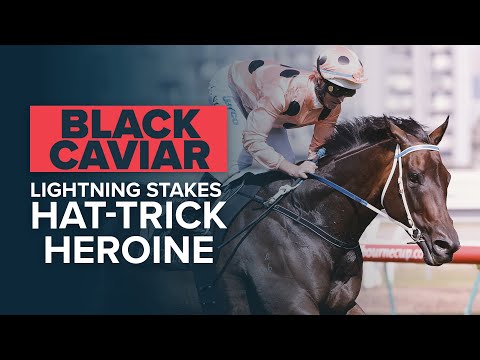 BLACK CAVIAR, CHAUTAUQUA, APACHE CAT & FASTNET ROCK: Legends of Flemington VRC's Lightning Stakes