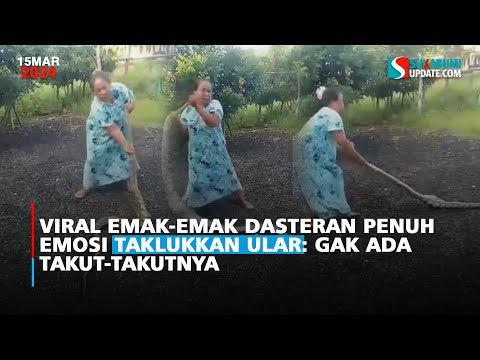 Viral Emak-emak Dasteran Penuh Emosi Taklukkan Ular: Gak Ada Takut-takutnya