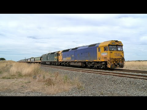 7737V Pacific National Grain Train With G540 & G542 (13/2/2022) - PoathTV Australian Railways