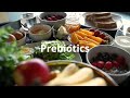 Meet Zinobiotic En Gb