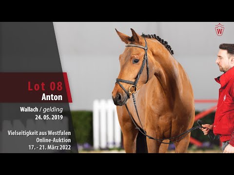 Vielseitigkeit Online-Auktion Lot 8 Anton Wallach v. A la Carte NRW - La Calido