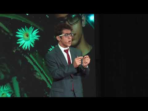 The Year the Earth Changed | Erfan Firouzi | TEDxYouth@TWSDubai