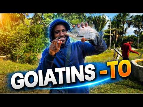 Assim É a Vida em Goiatins, no Tocantins
