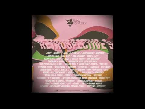 Chillhomers - Together [Liquid Brilliants Retrospective 9]