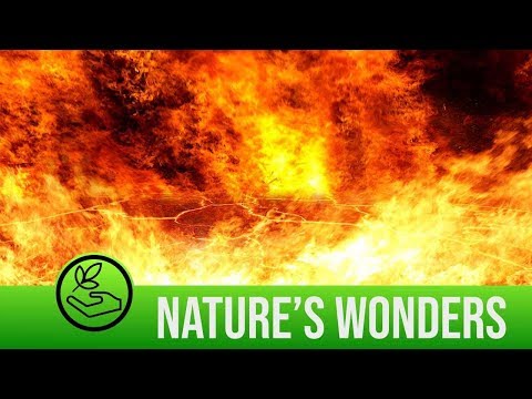 Amazing volcano eruption footage | Nature's Wonders