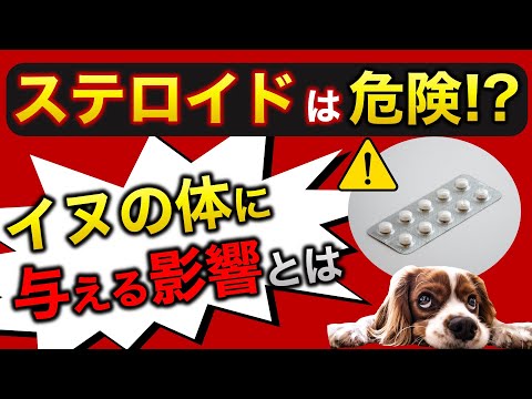 犬の抗アレルギー薬 - 用量と副作用