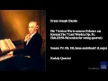 Franz Joseph Haydn, Sonata IV: Eli, Eli, lama asabthani? (Largo)