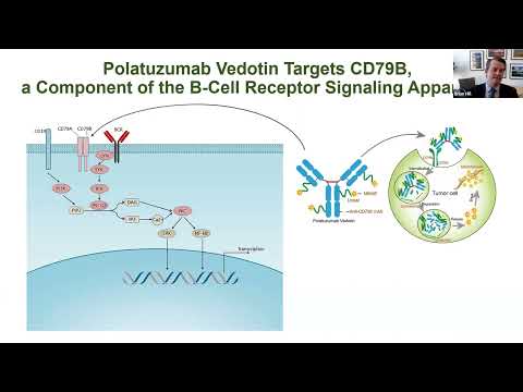 Upfront Therapy in DLBCL : R-CHOP and Beyond - Dr.  Brian Hill (Sep 30-Oct 1, 2022)