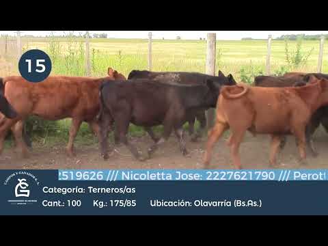 Lote M Y H - Olavarría Bs As