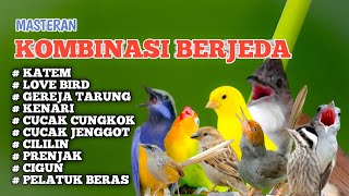 Download lagu MASTERAN BURUNG KOMBINASI BERJEDA | Katem, Love Bird, Kenari, Gereja,Cucak Jenggot, Prenjak, Dll mp3