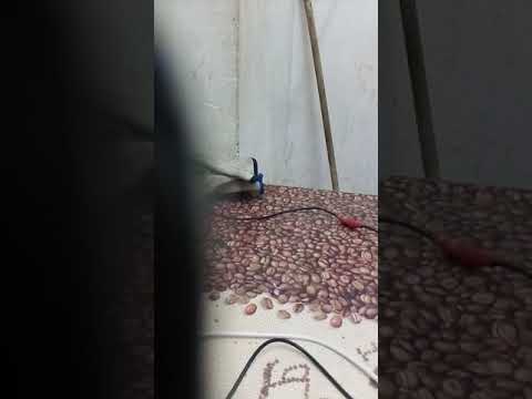 E timpul să ne pocăim și sa ne întoarcem la Dumnezeu