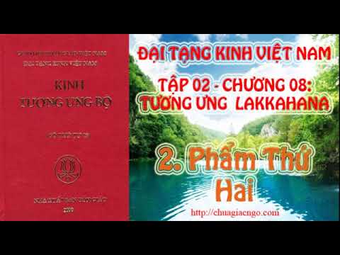 Kinh Tương Ưng Bộ - Tập 2: Chương 8: Tương Ưng Lakkhana - 2. Phẩm Thứ Hai