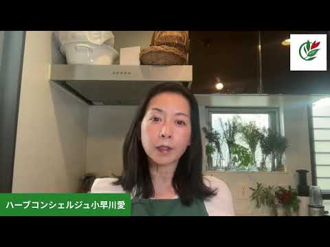 医療ビジネス薬科学科 ハーブモクテルの世界