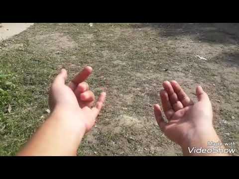 Cute Mini's Impressive Activities 😘