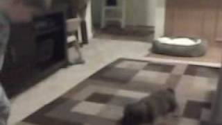 Brady and Duncan playing