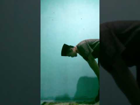 Tugas Praktek PAI Kelas X . Tio Mahardika X TKRO 4. #smkmitraindustrimm2100