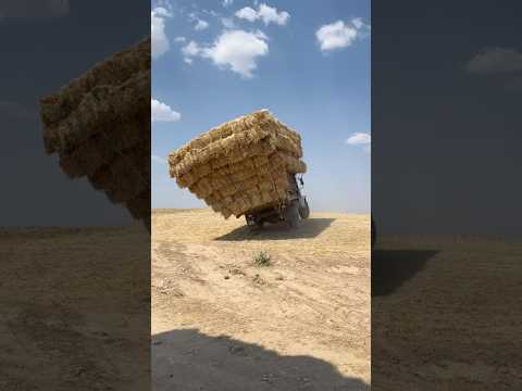 ВОНА ДОЇДЕ?😅🤯 #farming #трактор #агро #agriculture #tractor #agro #viral #funny #фермер