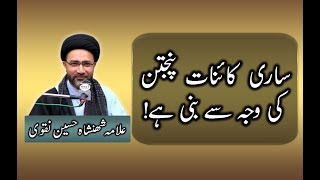 Sari Kainaat Panjtan Ki Wajah Se Bani Hai || Allama Shahenshah Naqvi || Wali Multimedia Team