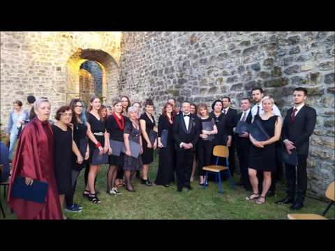 Prosto zrakom - Ak. zbor Vet. fak. "Ab ovo", HPD "Slavulj", Akmuz FER, Tamb. orkestar "Gaj"