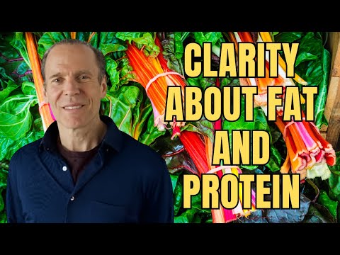 Clarity about Fat and Protein