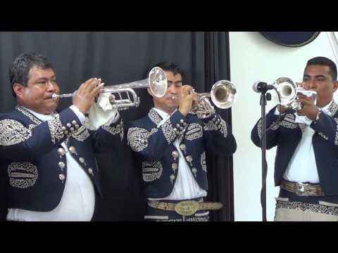 Mariachi La Diferencia   -Cancun-