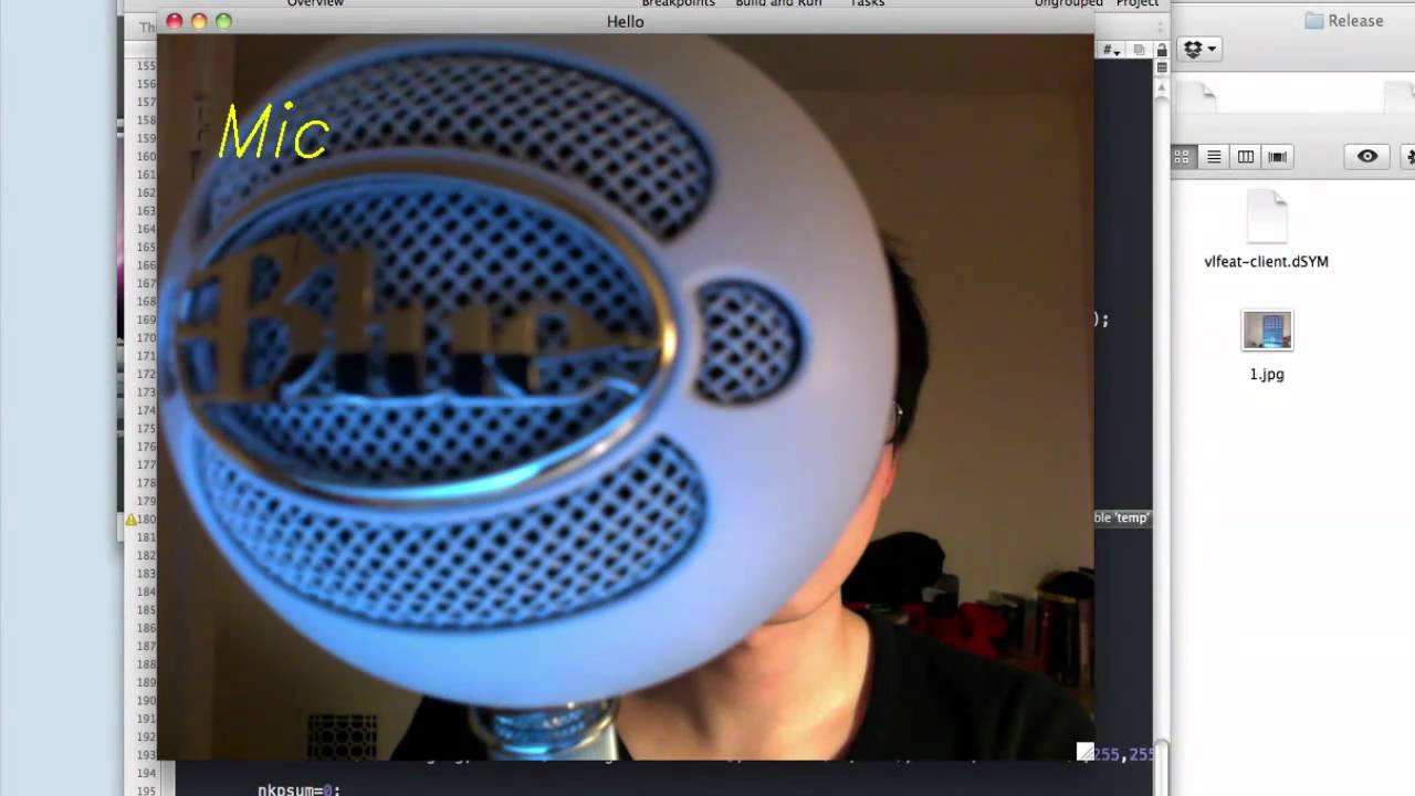 Bag of words model Object recognition