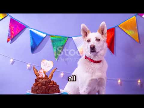 Paw-some Adventures: Doggy Duo's Fun Tales!