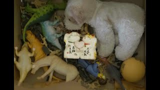 Cover art for Old With You