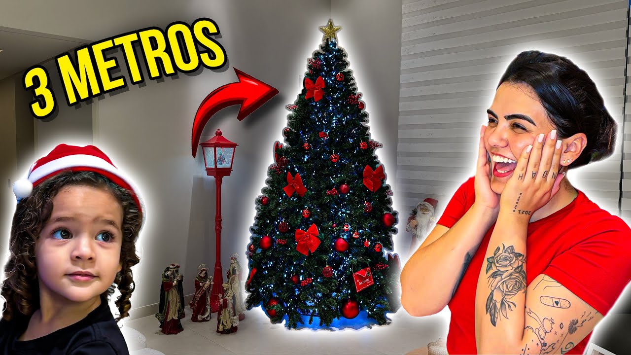 MONTAMOS NOSSA ÁRVORE DE NATAL E ELA É GIGANTE
