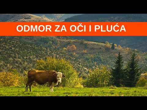 Neotkrivena mesta za ODMOR | Planina GOČ, sve njene zanimljivosti i aktivnosti | POGAČA I SO Ep.52