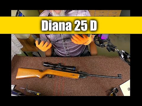 🇩🇪 Luftgewehr: Diana 25 D (1978)