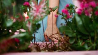 Photocomfort - More (OFFICIAL AUDIO)