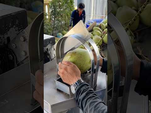 Smart Coconut Cutting Machine Cuts in Just 1 Second!