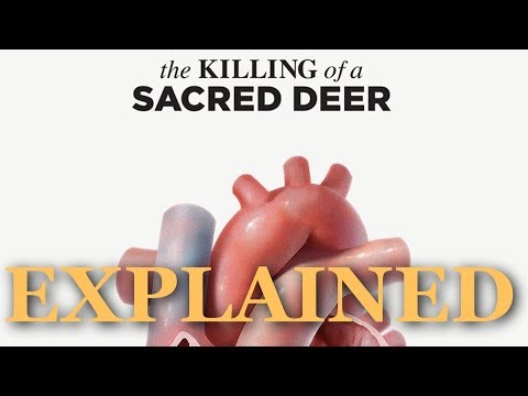 The Killing of a Sacred Deer EXPLAINED: Theme and Character Analysis