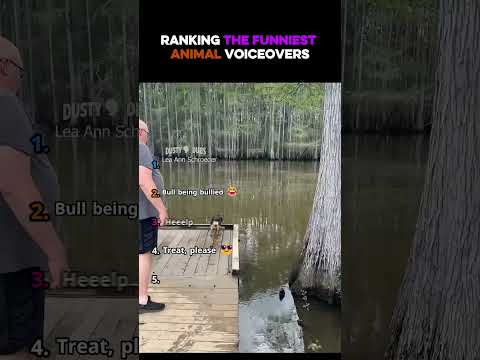 Ranking the funniest animal voiceovers 🤣