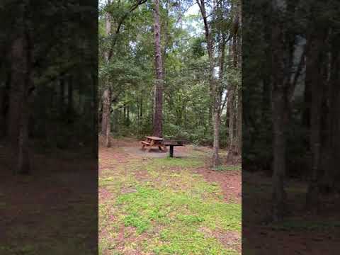 A quick span of one of the recreational areas in Dutton Island Preserve